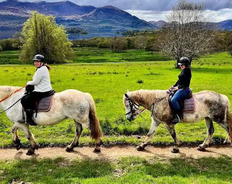 Photo de Killarney Riding Stables