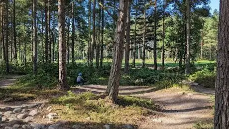 Photo de Snurrom Bike Park