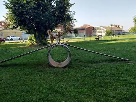 Photo de Area Cani Leini