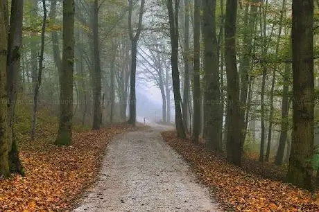 Photo de Pferdeeisenbahn