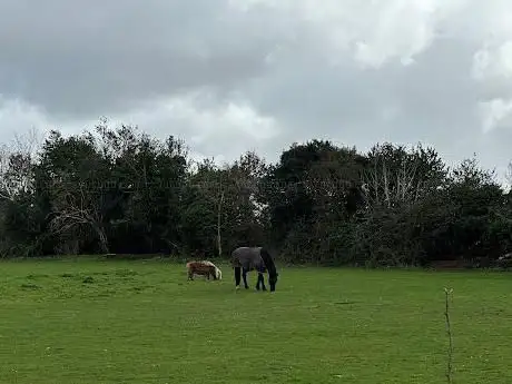 Photo de Shrubbery Farm
