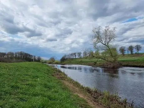 Photo de Tomarp Ene