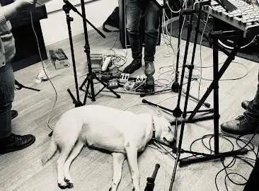 Photo de ALIVE My STUDIO