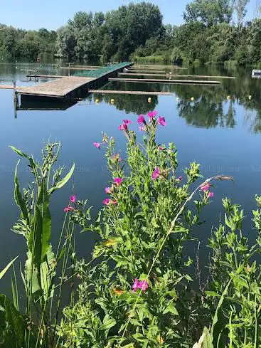 Photo de Vogeluitkijkpunt Grote Plas