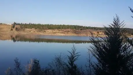 Photo de Yeşil Alan