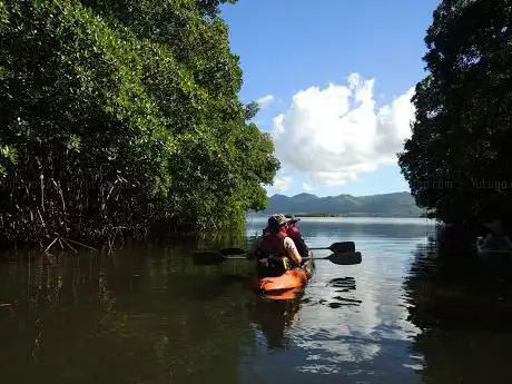 Photo de Kayak Aventure Mangrove