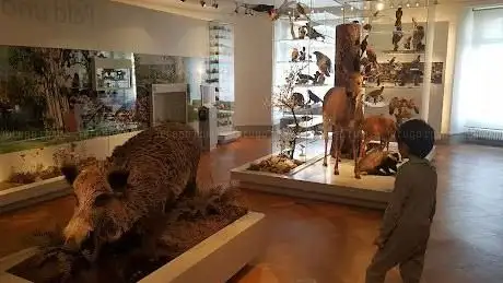 Photo de Naturmuseum Thurgau