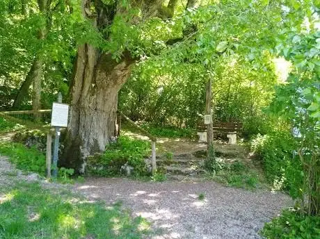 Photo de Trainmeusler Brunnen