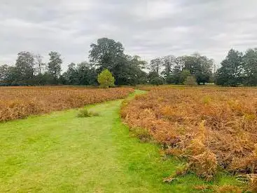 Photo de Deer Park