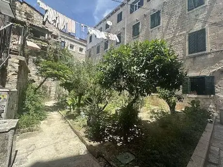 Photo de Cat garden
