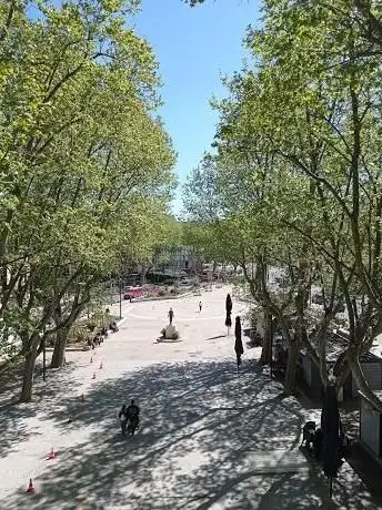 Photo de Promenade des Platanes