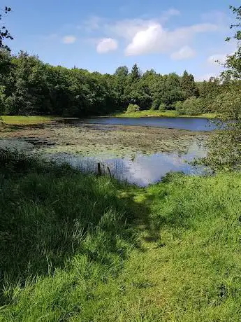 Rossmore Forest Park