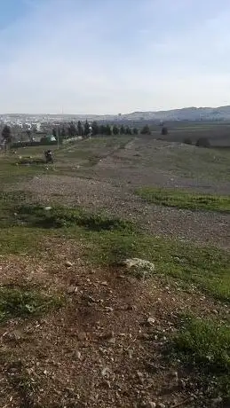 Photo de Gürcütepe