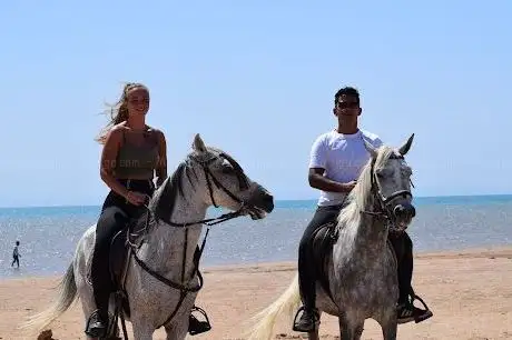 Photo de Horse & Animal Park Hurghada