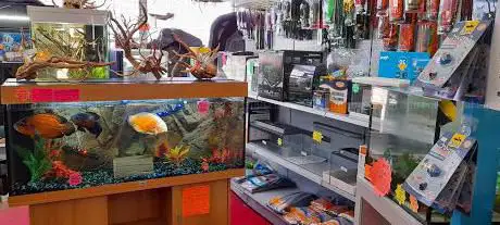 Photo de Boulevard aquatics