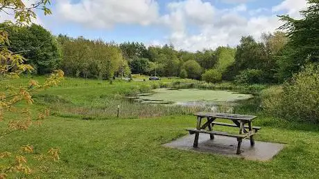 Photo de Salmon fields