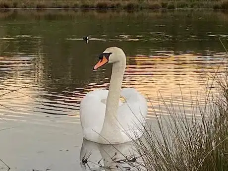 Photo de Saltersford Valley Local Nature Reserve