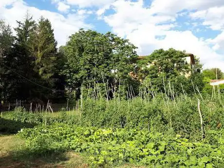 Photo de Parco Villa ANKURI