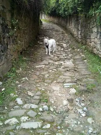 Photo de Galtzada - Donejakue Bidea