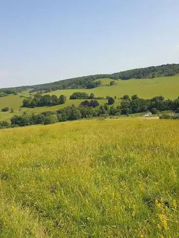 Photo de Lydden Temple Ewell National Nature Reserve