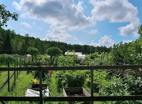 Photo de Lilla Odlingen i Södersätra