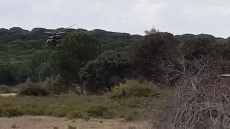 Photo de Pinares Aznalcazar