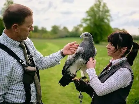 Photo de Hawkeye Falconry