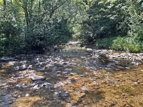 Photo de River Delour Picnic Area