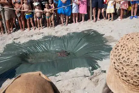 Photo de Spiaggia Riserva Naturale Sentina
