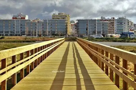 Photo de Observação de aves na Ribeira de Alcantarilha em Armação de Pêra