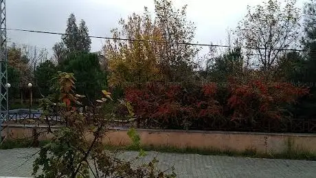 Photo de Green area