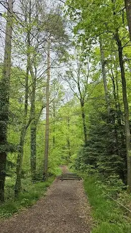 Photo de Waldsportpfad Neuweier
