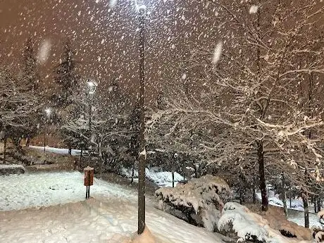 Photo de Kosova Parki