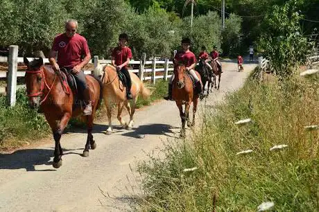 Photo de Centro Equestre Miura Club