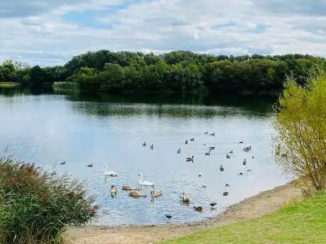 Photo de Bedfont Lake