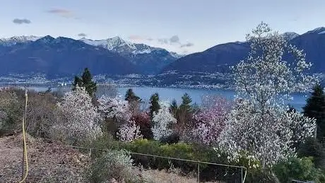 Photo of Gambarogno Botanical Park