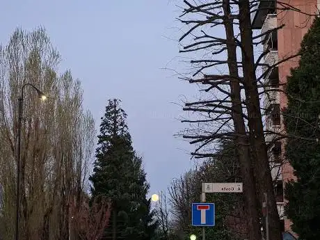 Photo de Parchetto De Amicis