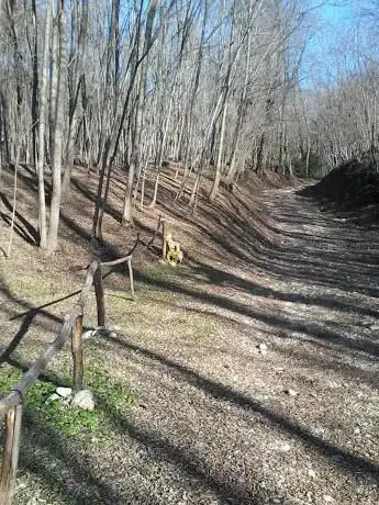 Photo de Bosco Protetto WWF Natalino Baldasso