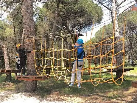 Photo of TEAMBUILDING Ltd. Parc Aventure