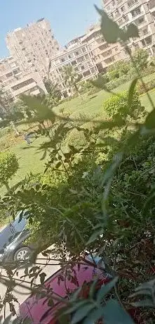 Foto de Tawfik El Bakry Park