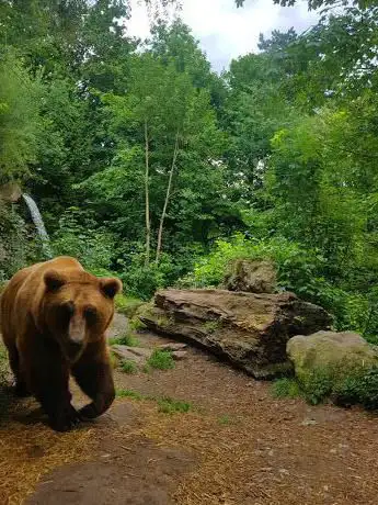 Photo of Alpenzoo Innsbruck
