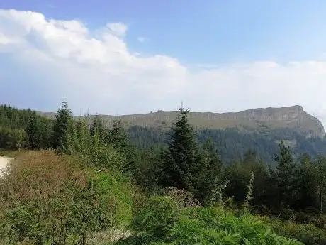 Photo de Yedigöller Ayıkayası Tabiat Parkı ÇADIR KAMP ve KARAVAN konaklama alanı