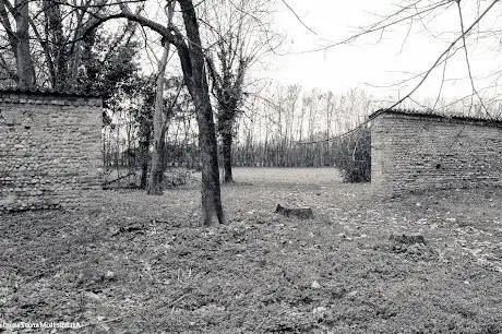 Photo de Parco di Villa Brivio