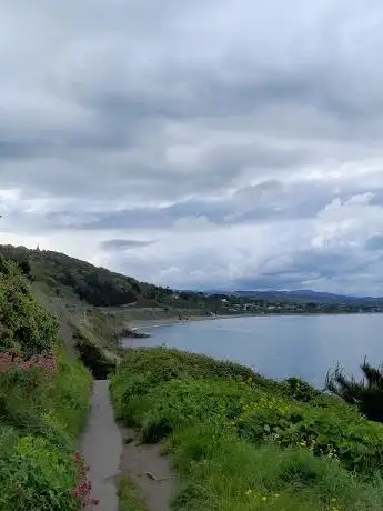Hawk Cliff