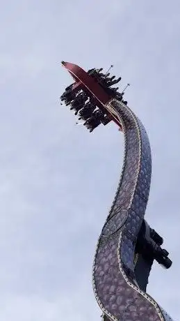 Photo de Black Mamba