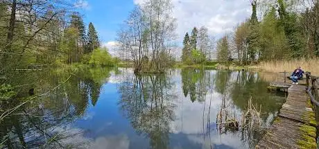Photo de Scherzer Weiher