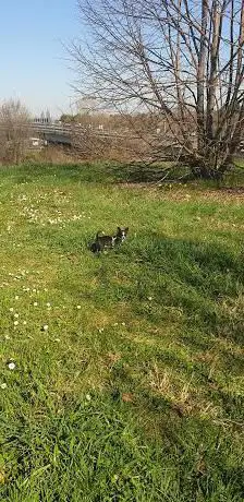 Photo de Parco della collina di San Biagio