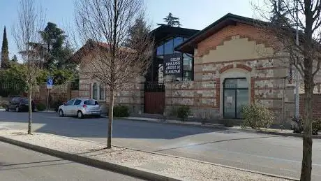 Photo de Museo Friulano di Storia Naturale