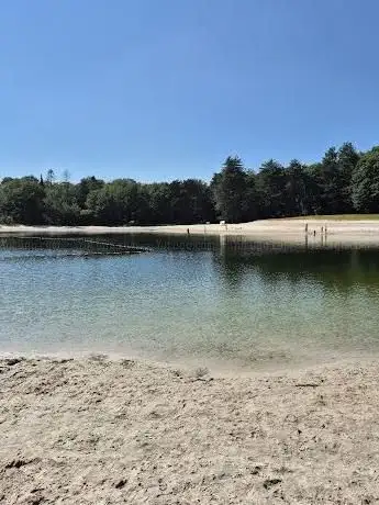 Photo de De Zwarte Dennen
