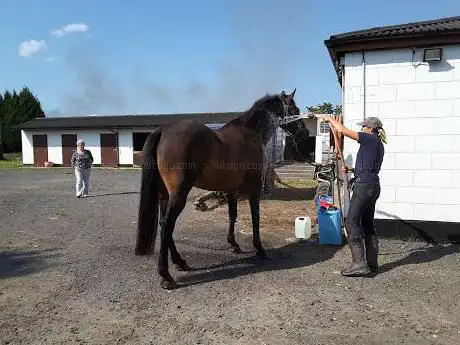 Photo de Roxloe Equestrian Centre